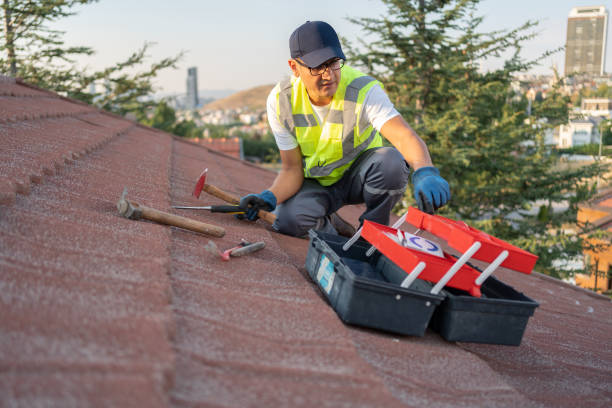 Best Brick Veneer Siding  in Dunsmuir, CA